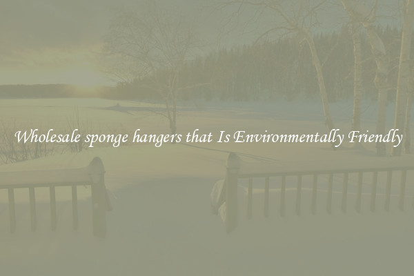 Wholesale sponge hangers that Is Environmentally Friendly