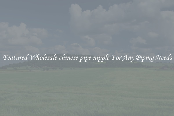 Featured Wholesale chinese pipe nipple For Any Piping Needs