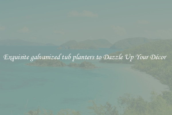 Exquisite galvanized tub planters to Dazzle Up Your Décor  