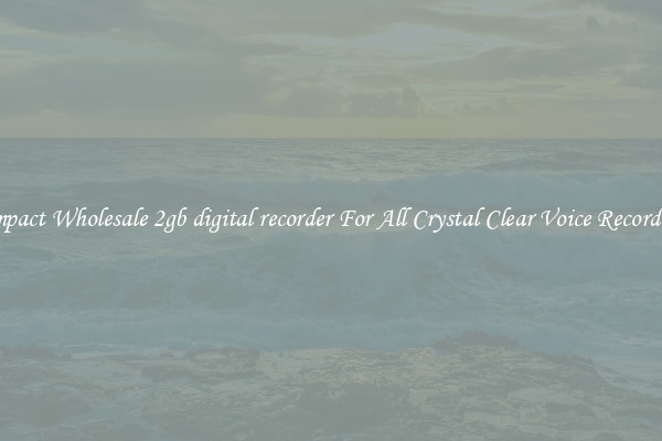 Compact Wholesale 2gb digital recorder For All Crystal Clear Voice Recordings