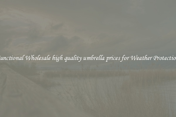Functional Wholesale high quality umbrella prices for Weather Protection 