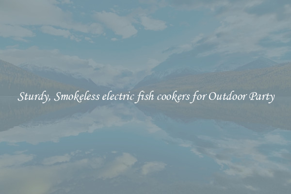 Sturdy, Smokeless electric fish cookers for Outdoor Party