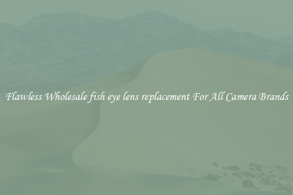 Flawless Wholesale fish eye lens replacement For All Camera Brands