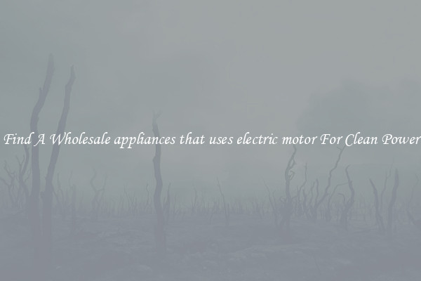 Find A Wholesale appliances that uses electric motor For Clean Power