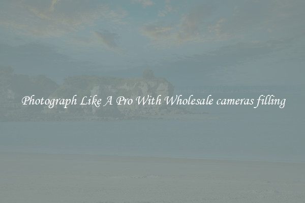 Photograph Like A Pro With Wholesale cameras filling