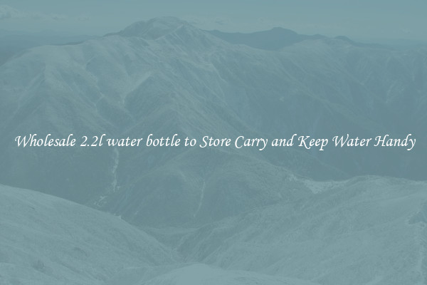 Wholesale 2.2l water bottle to Store Carry and Keep Water Handy