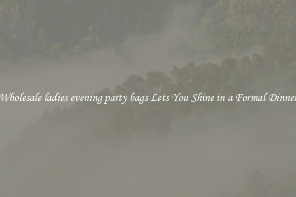 Wholesale ladies evening party bags Lets You Shine in a Formal Dinner