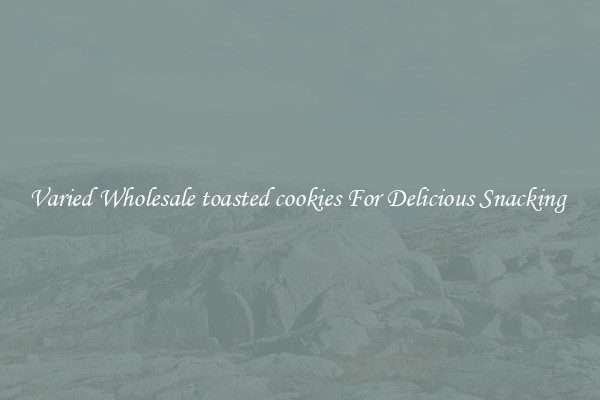 Varied Wholesale toasted cookies For Delicious Snacking 