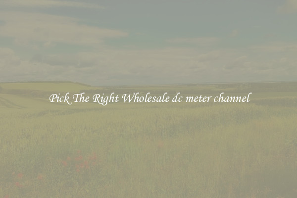 Pick The Right Wholesale dc meter channel