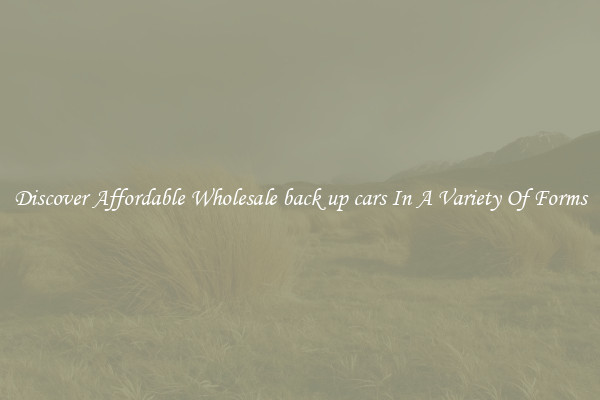 Discover Affordable Wholesale back up cars In A Variety Of Forms