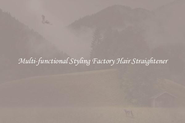 Multi-functional Styling Factory Hair Straightener