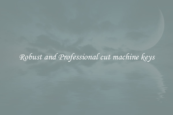 Robust and Professional cut machine keys