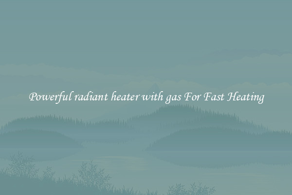 Powerful radiant heater with gas For Fast Heating