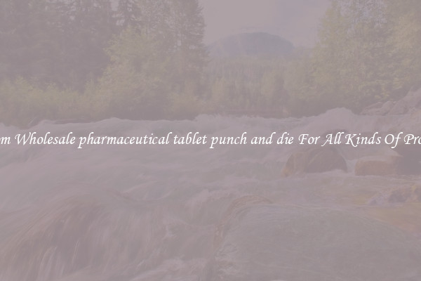 Custom Wholesale pharmaceutical tablet punch and die For All Kinds Of Products