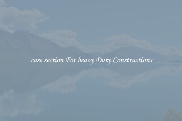 case section For heavy Duty Constructions