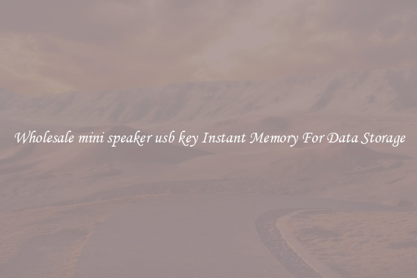 Wholesale mini speaker usb key Instant Memory For Data Storage