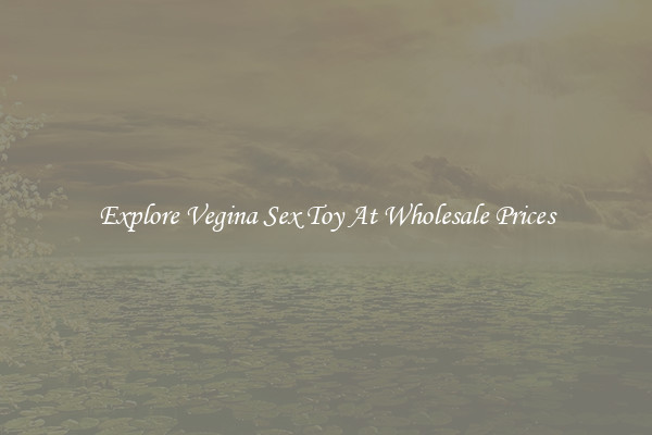 Explore Vegina Sex Toy At Wholesale Prices
