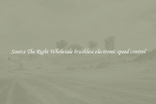 Source The Right Wholesale brushless electronic speed control