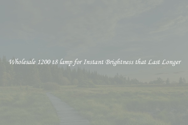Wholesale 1200 t8 lamp for Instant Brightness that Last Longer