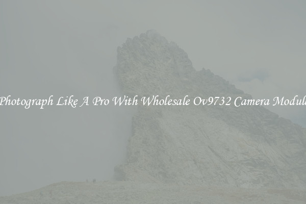 Photograph Like A Pro With Wholesale Ov9732 Camera Module