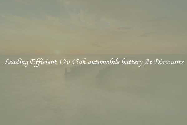 Leading Efficient 12v 45ah automobile battery At Discounts