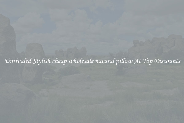 Unrivaled Stylish cheap wholesale natural pillow At Top Discounts